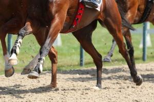 Les chronos partiels du mardi 18 août à Deauville