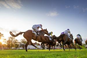 479 entries for Arc weekend undercard 479 entries for Arc weekend undercard