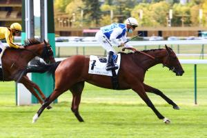 Arenberg Report: Kalahara outstays Wink