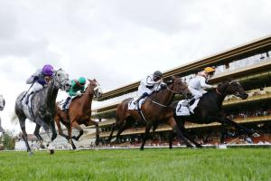 Coupe de Maisons-Laffitte Report: Glycon above all