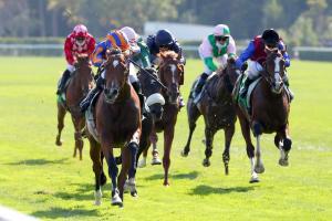 Juddmonte Grand Prix de Paris: Mogul, comme son frère Japan