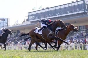 Lutèce : A new adventure