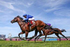 Moulin Preview: Last stop for great milers