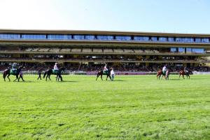 Attendance limited to 1,000 people for the Qatar Prix de l’Arc de Triomphe and on Parisian racecourses