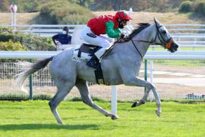 The Fellow - Moratalla 4yo Chase: Le Berry in full flight