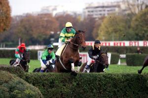 Al Capone II, cheval star de l’Hippodrome d’Auteuil, s’est éteint à l’âge de 32 ans