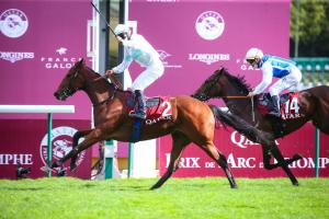 Qatar Marcel Boussac Report: Tiger & Jessica complete Marseilles juveniles double Qatar Marcel Boussac Report: Tiger & Jessica complete Marseilles juveniles double
