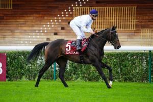 Prix Miesque : Cœursamba en appel