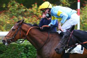 Flore Report: Grand Glory day Flore Report: Grand Glory day