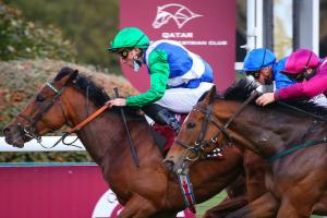 Qatar Forêt Report: One Master makes history Qatar Forêt Report: One Master makes history