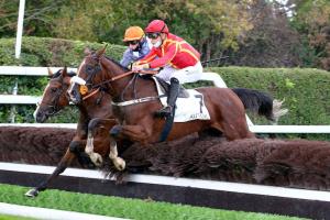 October 2020 Maiden winners October 2020 Maiden winners