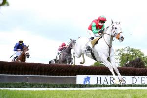 Orcada 4yo Chase Preview: Le Berry picks his fights Orcada 4yo Chase Preview: Le Berry picks his fights