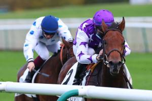 Miesque Report: Lullaby Moon makes small work of Miesque Stakes! Miesque Report: Lullaby Moon makes small work of Miesque Stakes!
