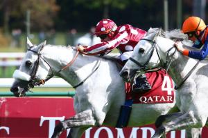 Qatar Arabian World Cup Report: Tayf finally makes his mark Qatar Arabian World Cup Report: Tayf finally makes his mark