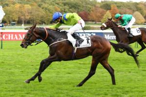 Royal-Oak Report: Subjectivist kept something aside Royal-Oak Report: Subjectivist kept something aside