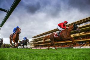 Qatar Daniel Wildenstein Report: The Revenant returns again! Qatar Daniel Wildenstein Report: The Revenant returns again!