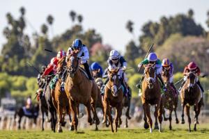 ParisLongchamp hosts five Breeders'Cup Challenge races on Qatar Prix de l'Arc de Triomphe program