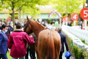 Course support de l'événement, jeudi à ParisLongchamp