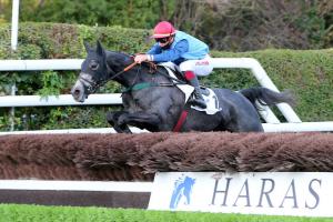 Haras d'Etreham Bournosienne Report: Hotesse is cruising