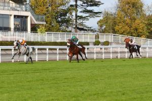 Carmarthen Hurdle Report: Paul's Saga becomes heavyweight