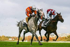 Grand Prix d’Automne Hurdle race: A L’Autonomie-Paul’s Saga rematch