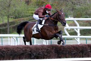 Congress 3yo Chase Preview: The Chasing Derby