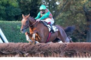 Renaud du Vivier 4yo Hurdle race: It's Prince James's time
