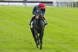 Haras d'Étreham Bournosienne 3yo Fillies Hurdle race Preview: Hotesse welcomes newcomers