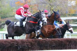 Morgex 4yo Chase Report: Grandeur Nature starts his collection