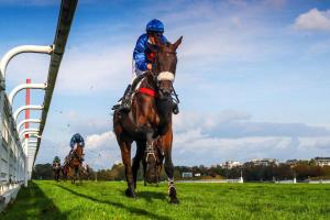 Cambacérès 3yo Hurdle Preview: The game is far from over Cambacérès 3yo Hurdle Preview: The game is far from over