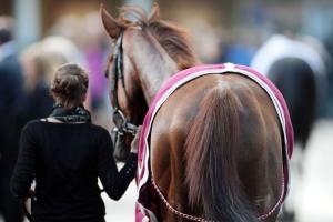 Lancement d’un partenariat global pour connecter le monde, à la filière des chevaux de course