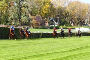 November 2020 Maiden winners