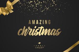 Pour Noël, nos best sellers en avant-première : Bon “Amazing Christmas” !