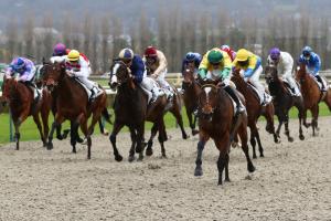 December 2020 Maiden Winners