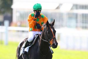 Ajas supreme in Pau Grand Prix