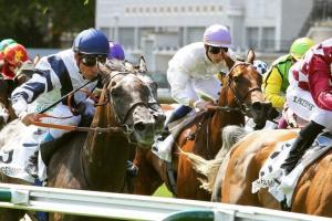 How the French 2-year-olds' program will be boosted in 2021