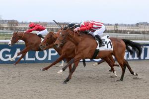 February 2021 maiden winners February 2021 maiden winners