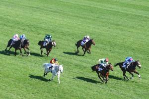 Point sur la préparation des pistes et les travaux sur les hippodromes de France Galop pour la saison 2021 Point sur la préparation des pistes et les travaux sur les hippodromes de France Galop pour la saison 2021