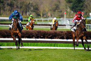 D'Indy 4yo Hurdle: Hermès Baie outstays the weight D'Indy 4yo Hurdle: Hermès Baie outstays the weight