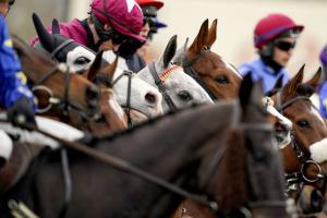 Le Festival, by le FRBC - Friday Le Festival, by le FRBC - Friday