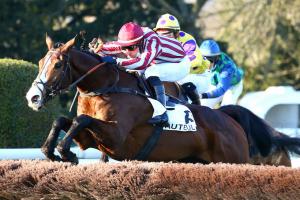 Juigné Hurdle race: Polirico back in the limelight Juigné Hurdle race: Polirico back in the limelight