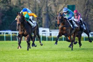 Troytown Chase: Ajas on the Grand Steeple trail Troytown Chase: Ajas on the Grand Steeple trail