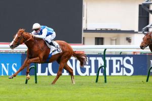 La Force: Adhamo, the good learner La Force: Adhamo, the good learner