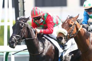 Grotte: Cirona in broad daylight Grotte: Cirona in broad daylight