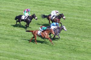 Fleuret 4yo Chase: Queen is the new heir Fleuret 4yo Chase: Queen is the new heir