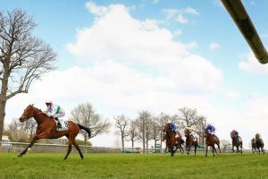 Sigy: Suesa even stronger Sigy: Suesa even stronger