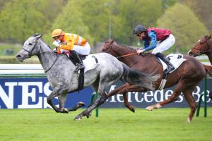 Harcourt: Skalleti on stage Harcourt: Skalleti on stage