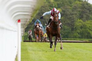 L'Autonomie gagne la Grande Course