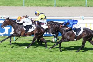 Grand Prix de Deauville 2021 Glycon