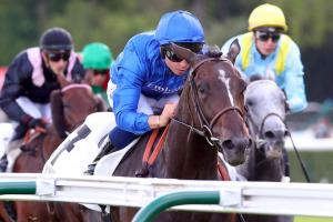 Aumale 21 Fleur d'Iris